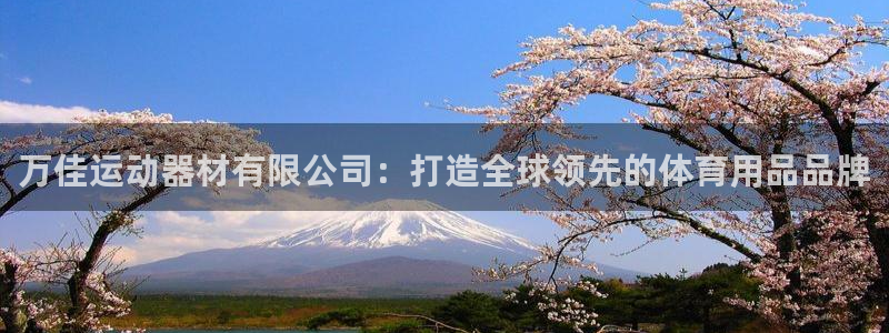 球速体育QsTY官方正版app科技