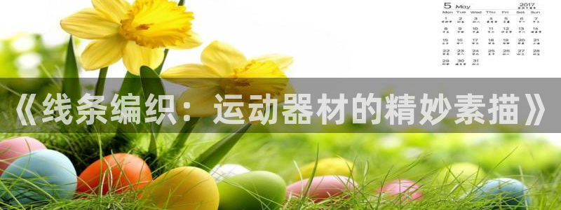 球速体育QsTY官方正版app娱乐：《线条编织：运动器材的精