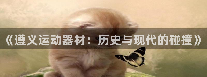球速体育QsTY官方正版app集团官网网址：《遵义运动器材：
