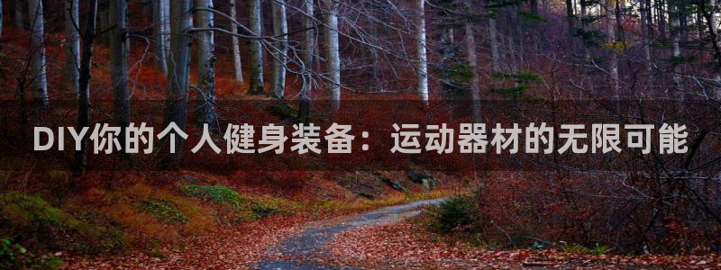 球速体育QsTY官网下载招商电话：DIY你的个人健身装备：运