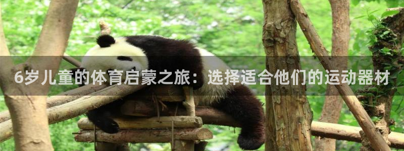 球速体育QsTY官方正版app五金厂：6岁儿童的体育启蒙之旅