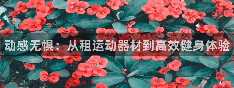 球速体育QsTY官方正版app神州：动感无惧：从租运动器材到