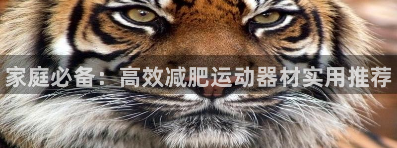 注册球速体育QsTY官方正版app：家庭必备：高效减肥运动器