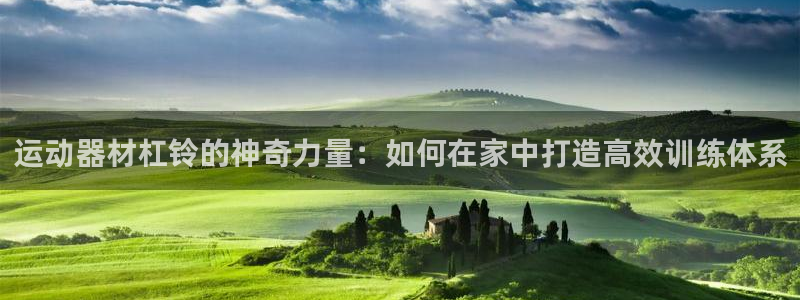 球速体育QsTY官方正版app集团logo